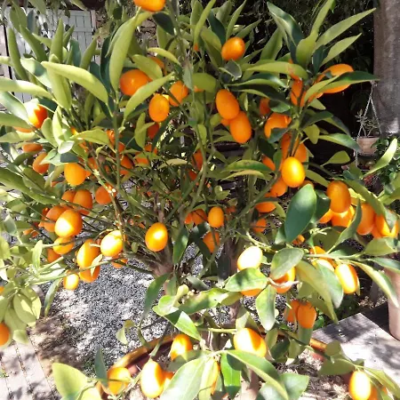 D'hotes Lovely Planette 님