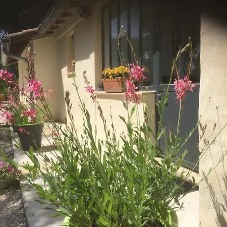 Bed & Breakfast D'hotes Lovely Planette Nîmes
