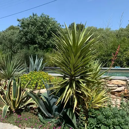D'hotes Lovely Planette 4* נים