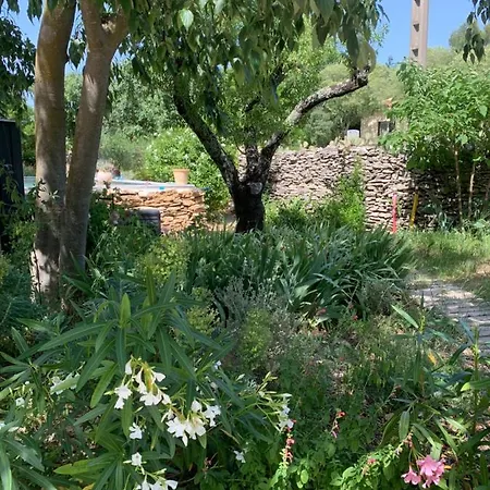 D'hotes Lovely Planette Bed & Breakfast Nîmes
