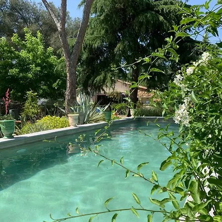Bed & Breakfast D'hotes Lovely Planette *