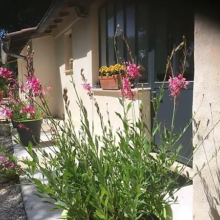 לינה וארוחת בוקר D'hotes Lovely Planette 4*
