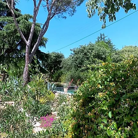 לינה וארוחת בוקר D'hotes Lovely Planette נים