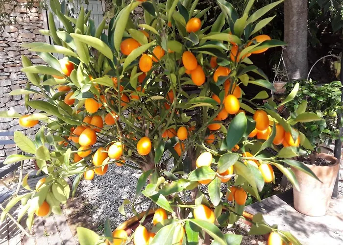 D'hotes Lovely Planette 님