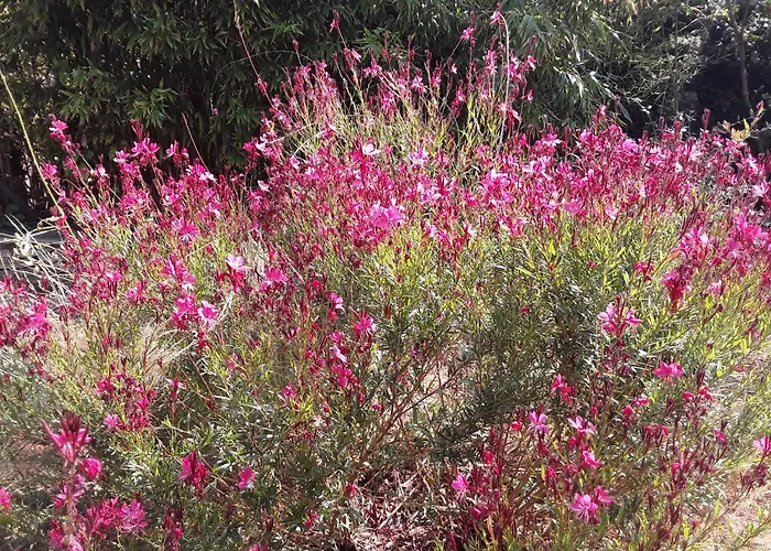 D'hotes Lovely Planette 님