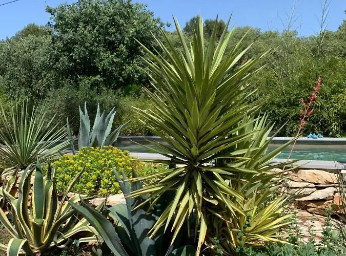 D'hotes Lovely Planette 4* 님