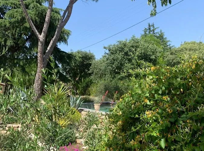 D'hotes Lovely Planette